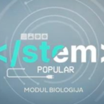 PODCAST STEM POPULAR S1E5 MODUL BIOLOGIJA - GOŠĆA OGULINKA DR. SC. NIKOLINA UDIKOVIĆ KOLIĆ